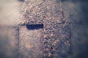 食記 x 采采食茶 CHACHATHE