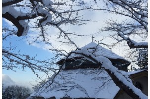 365-042 │ 好想念北海道
